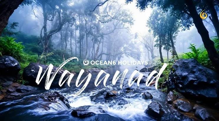 Kerala Tour Packages